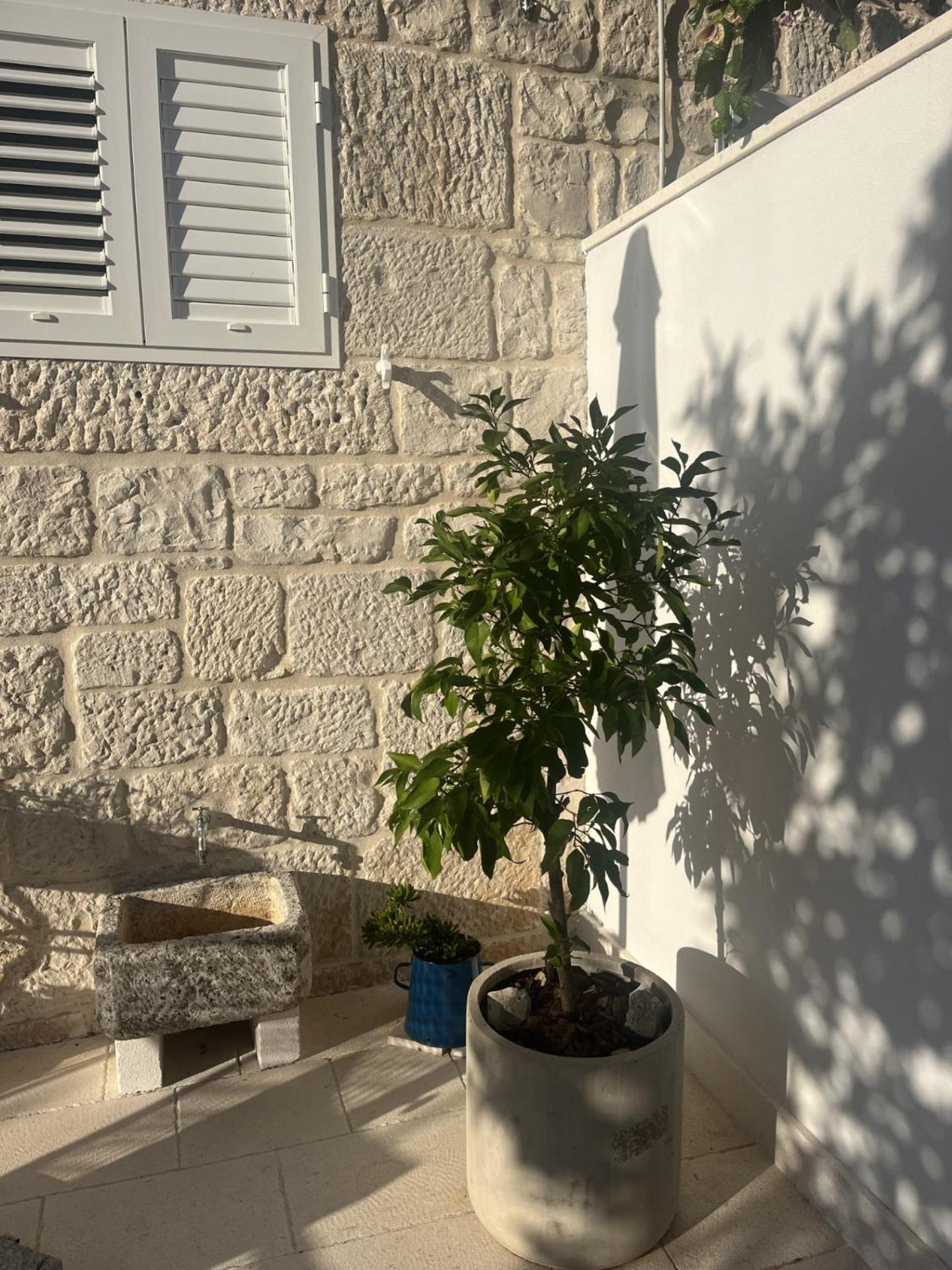 Apartment On The Sunny Side Korcula Town Exterior photo